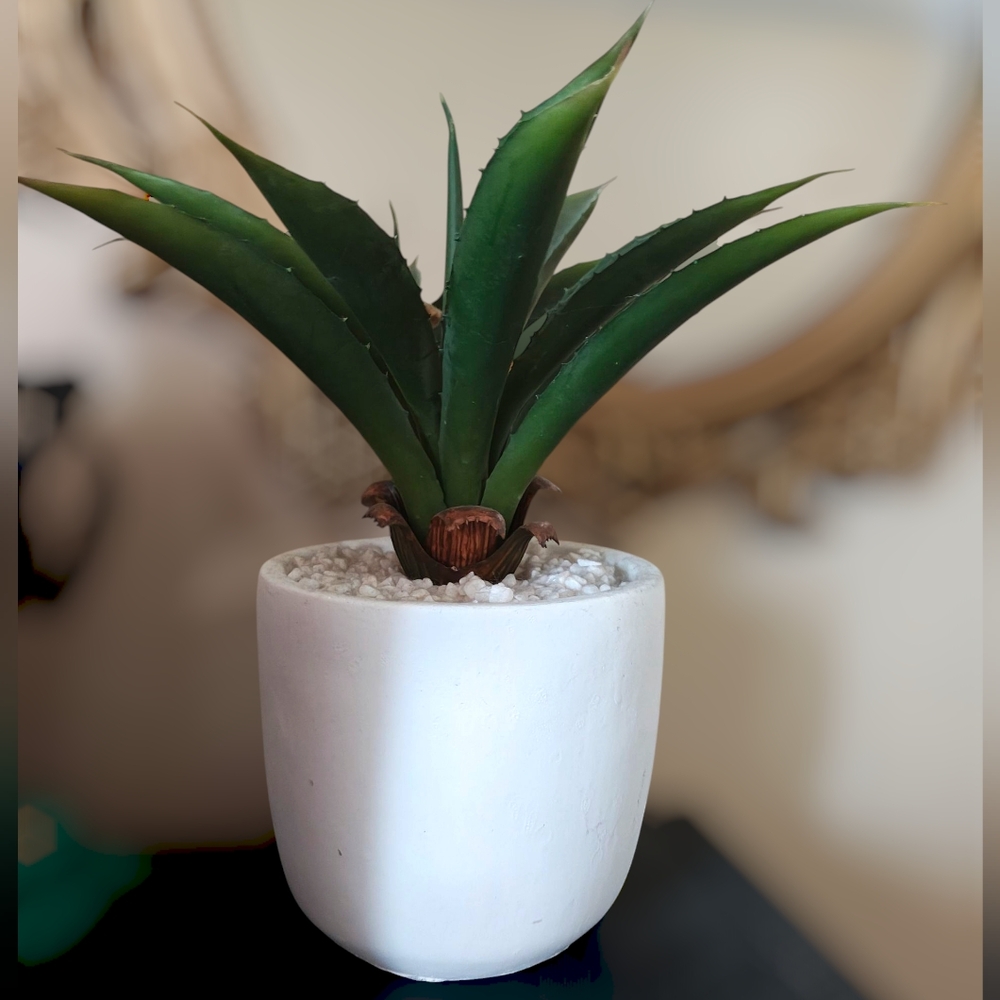 New Faux Succulent in White Planter Faux Aloe Plant Tropical Decor